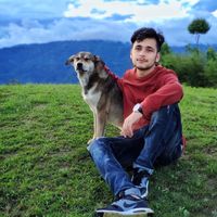 User