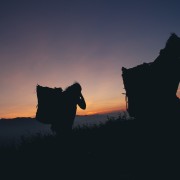 photographer_image