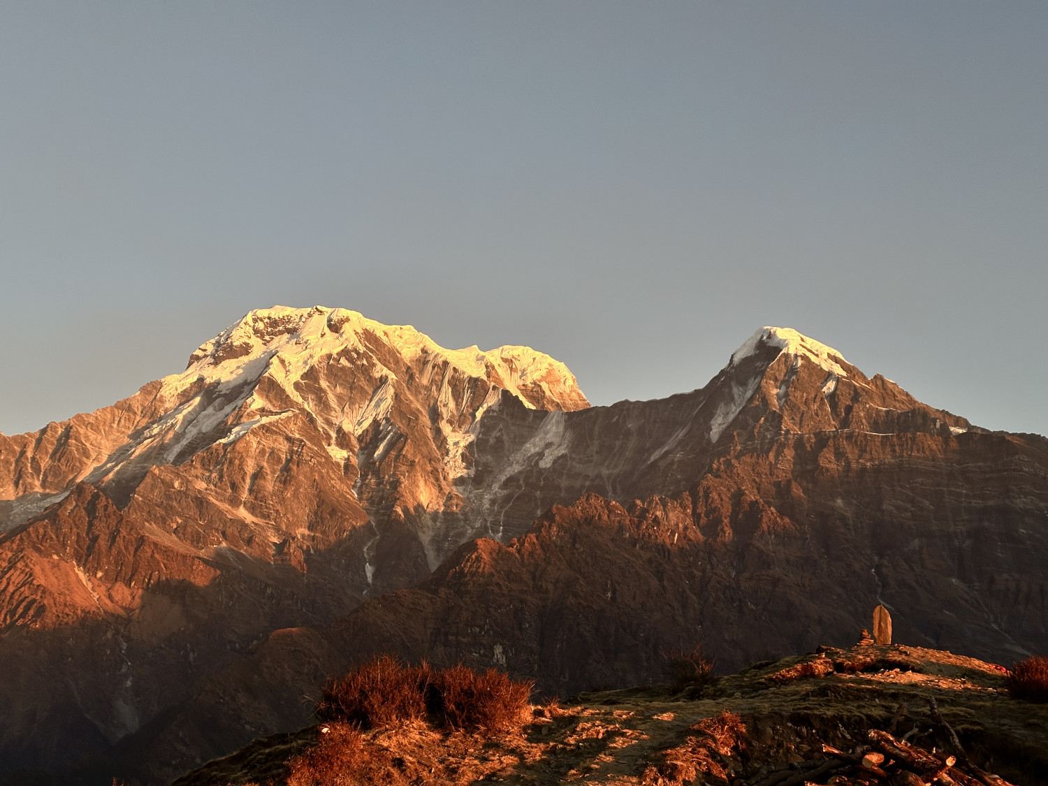 profile_banner_image